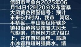 信阳头条爆料最新消息,揭秘重大事件背后真相！