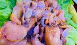 敦化海鲜爆料视频大全集,视频大全集深度解析