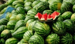 神木网红欣北吃瓜,揭秘网络红人的幕后故事