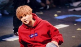 罗志祥最新资爆料,揭秘娱乐圈背后的惊人真相