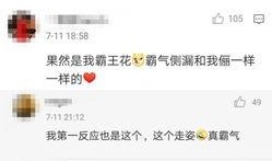 对家小花爆料视频大全,揭秘娱乐圈幕后真相
