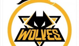 爆料狼队训练视频,揭秘球队备战新赛季的秘密武器