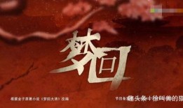 回梦在线观看,穿越梦境的奇幻之旅