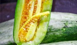 网红吃瓜精品,揭秘娱乐圈幕后真相