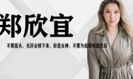 台湾八卦爆料视频大全集,揭秘视频大全集精彩瞬间