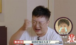 男团采访爆料视频大全集,独家采访爆料视频全集精彩回顾