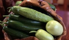 哈萨克网红吃瓜,揭秘网红们的幕后故事