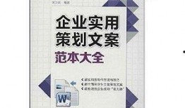 策划最新爆料文案模板怎么写,探寻幕后故事，深度解析项目亮点