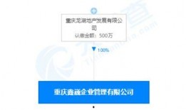 龙湖地产资金最新爆料,最新爆料揭示财务困境