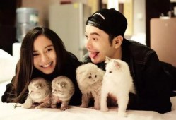 娱乐圈准的爆料有哪些