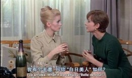 白昼美人完整在线观看,揭秘神秘美人的奇幻之旅