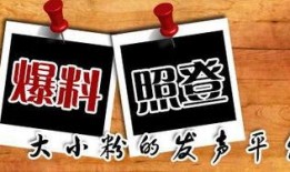 后山爆料新闻,最新爆料新闻深度解析