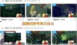 燕子直播爆料视频大全最新,揭秘热门视频背后的精彩故事