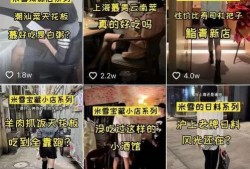 大连探店老虎爆料视频播放,老虎爆料热门视频带你尝鲜