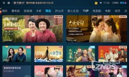 全好视频在线观看