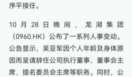 龙湖地产资金最新爆料,最新爆料揭示财务困境