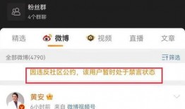成都爆料 辟谣视频最新,揭秘网络谣言真相