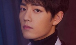 圈内最新爆料肖战