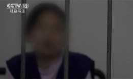 二驴爆料聊城事件始末视频,揭秘聊城事件始末