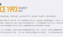 龙湖地产资金最新爆料,最新爆料揭示财务困境