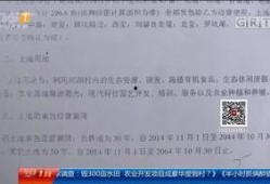 河源本地爆料事件最新,真相竟如此惊人！