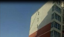 文安爆料视频,事件真相与背后故事