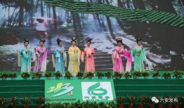 六安媒体爆料事件最新,真相背后引关注