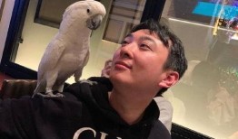 最新百万网红吃瓜事件,揭秘背后惊人真相