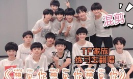 tf家族互相爆料视频完整版