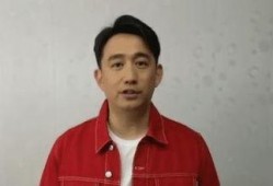 黄磊圈内人爆料视频,娱乐圈背后的真实故事
