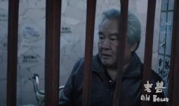 洛森老杨最新爆料,揭秘娱乐圈惊天大事件！