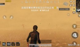 吃鸡内容爆料视频