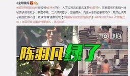 最新爆料袁冰冰图片视频,独家图片视频大揭秘