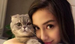 张猫猫爆料大橙子视频,大橙子视频背后的故事