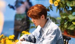 鹿晗新歌爆料视频,音乐新篇章，青春旋律再起航