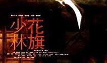花旗少林在线观看,跨国武术传奇，在线观看揭秘