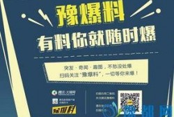河南大爆料视频,揭秘视频背后的惊人真相