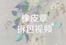 对家小花爆料视频大全,揭秘娱乐圈幕后真相