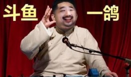 陈安直播间爆料视频大全,揭秘幕后真相与精彩瞬间