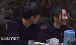 黄磊圈内人爆料视频,娱乐圈背后的真实故事