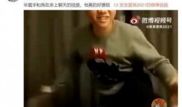 直播爆料五嫂是谁啊视频,直播爆料中的神秘“五嫂”身份大起底